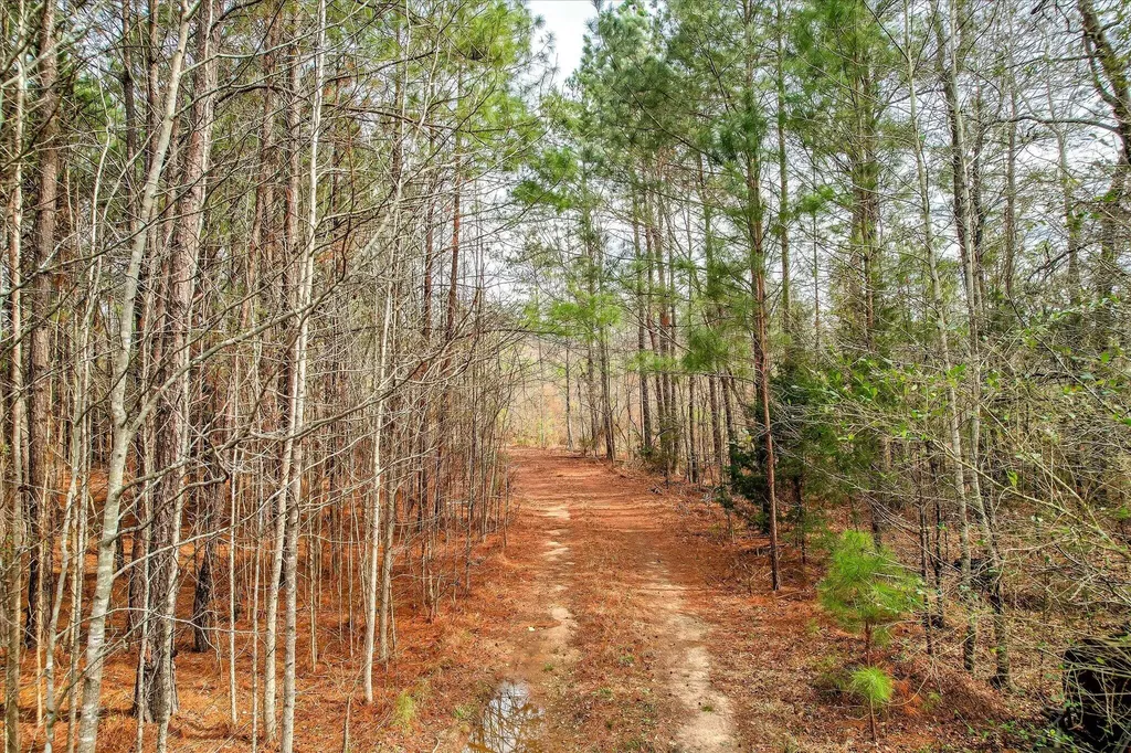 0 Appling Harlem Road Harlem GA 30814