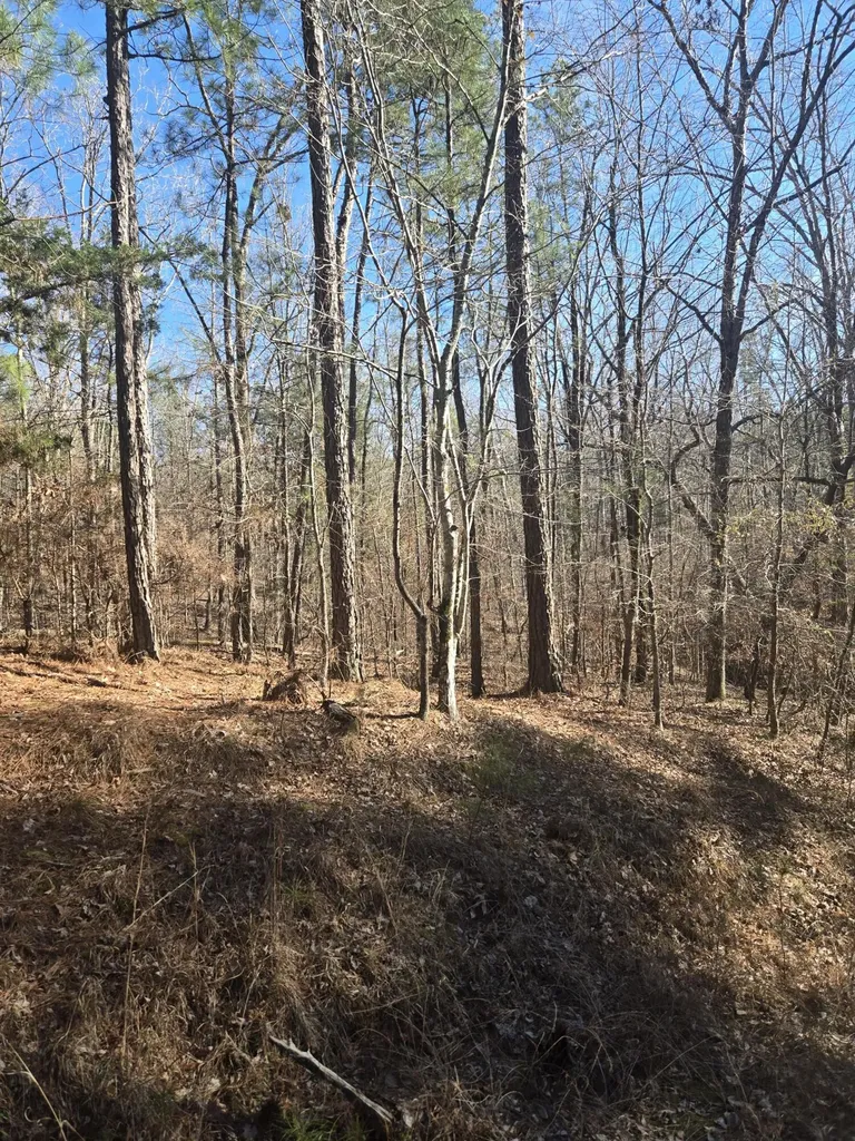 00 Bay Shore Drive Lincolnton GA 30817