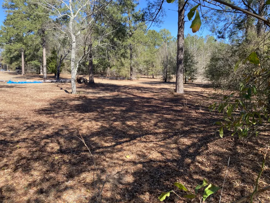 1621 N Pine Ridge Drive Hephzibah GA 30815