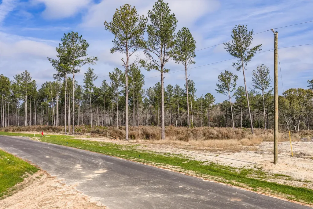 135 Beagle Chase Drive Appling GA 30802