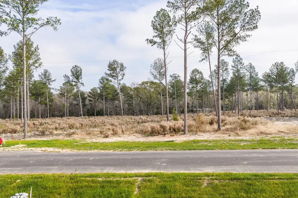 135 Beagle Chase Drive Appling GA 30802