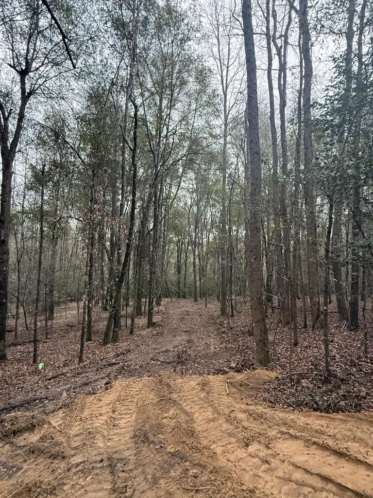 223 Ridge Road Waynesboro GA 30830