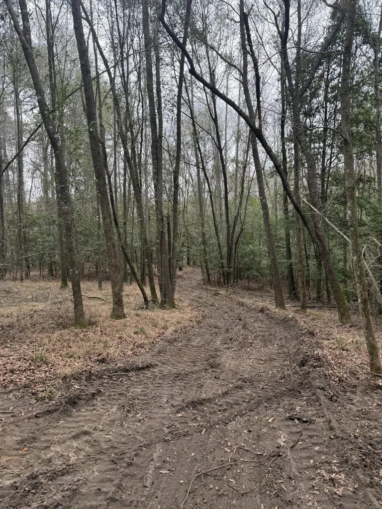 223 Ridge Road Waynesboro GA 30830