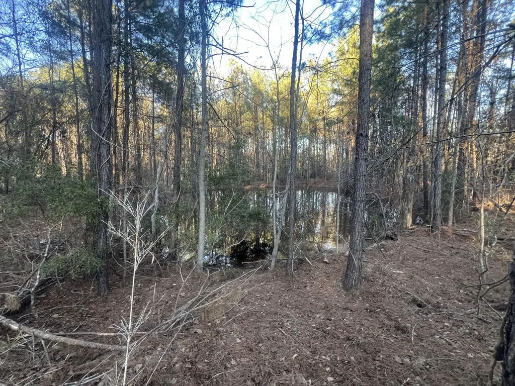 22701 Highway 129 Cobbtown GA 30420