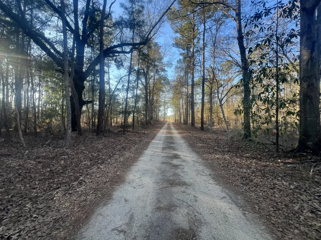 22701 Highway 129 Cobbtown GA 30420