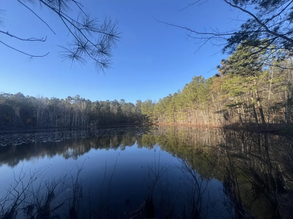 22701 Highway 129 Cobbtown GA 30420