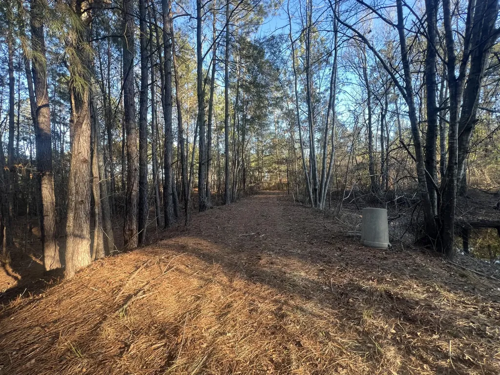 22701 Highway 129 Cobbtown GA 30420