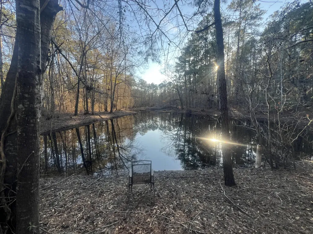 22701 Highway 129 Cobbtown GA 30420