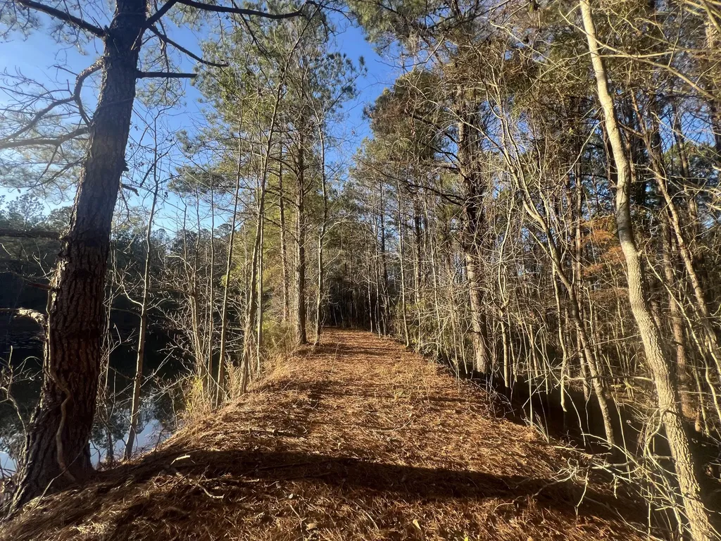 22701 Highway 129 Cobbtown GA 30420