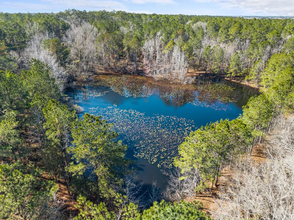 22701 Highway 129 Cobbtown GA 30420