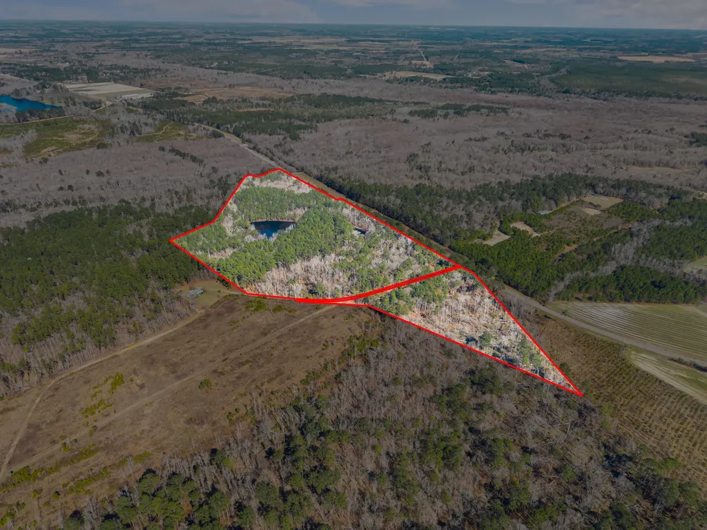 22701 Highway 129 Cobbtown GA 30420