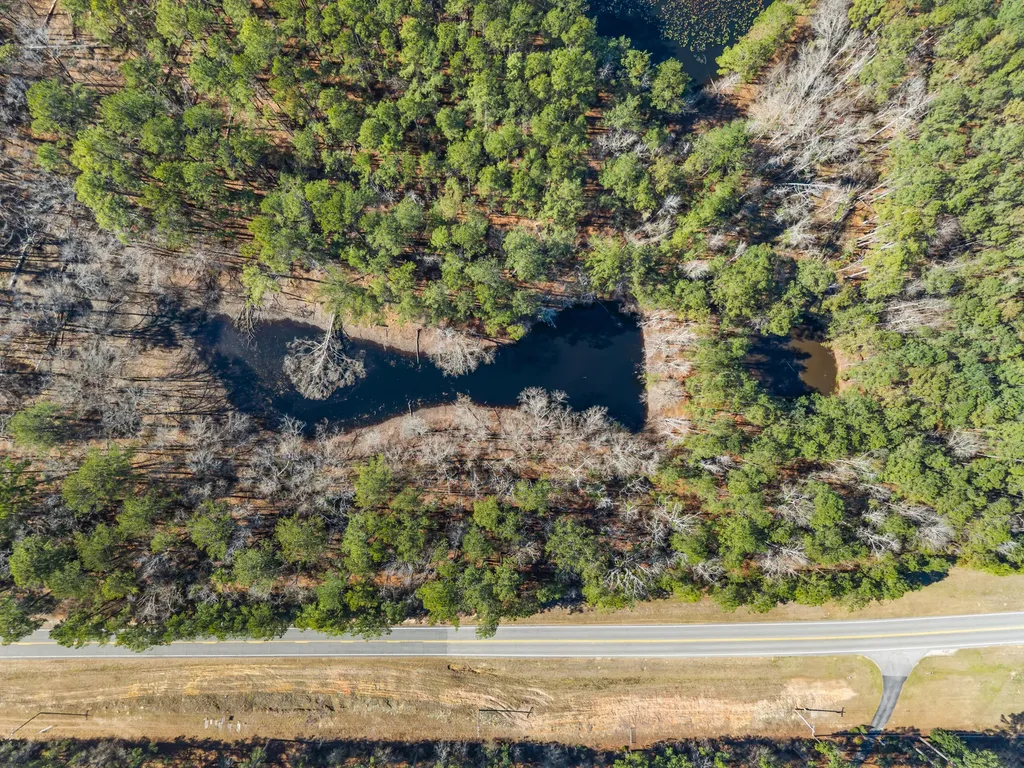 22701 Highway 129 Cobbtown GA 30420