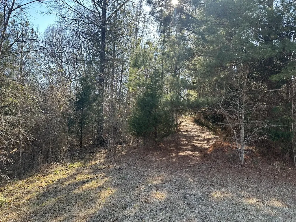 781 William Avenue Appling GA 30802