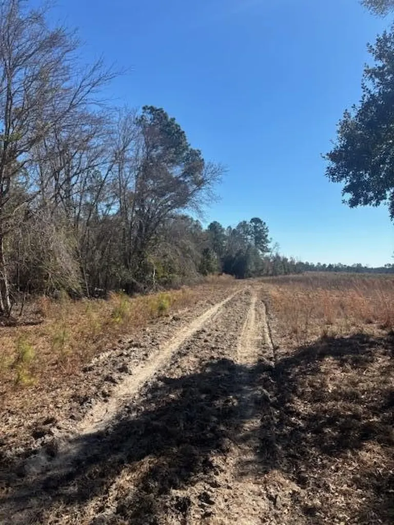 0 Starfish Lane Lyons GA 30436