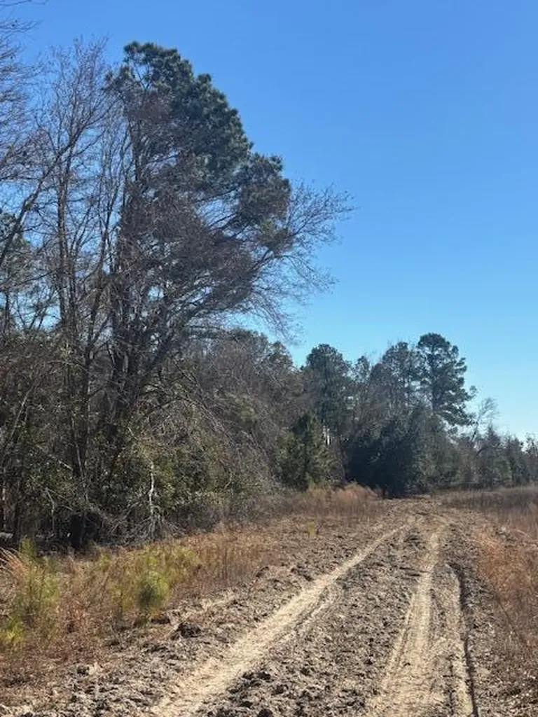 0 Starfish Lane Lyons GA 30436