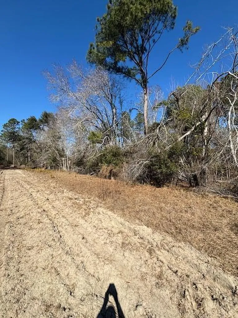 0 Starfish Lane Lyons GA 30436