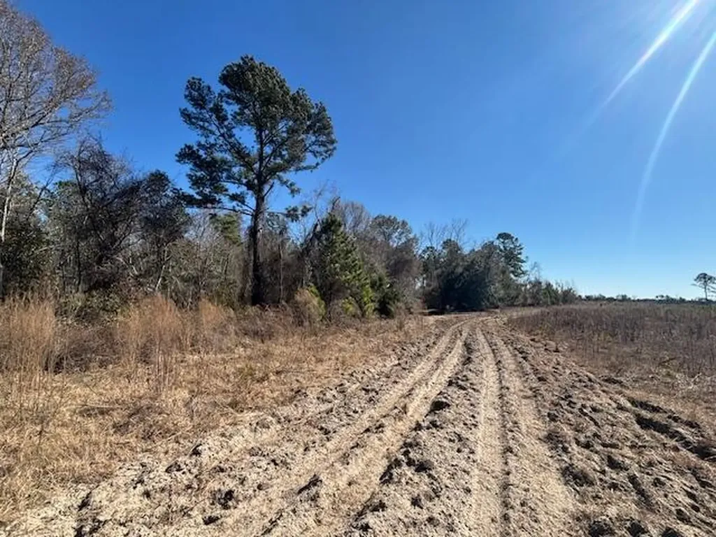 0 Starfish Lane Lyons GA 30436
