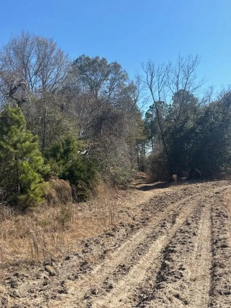 0 Starfish Lane Lyons GA 30436