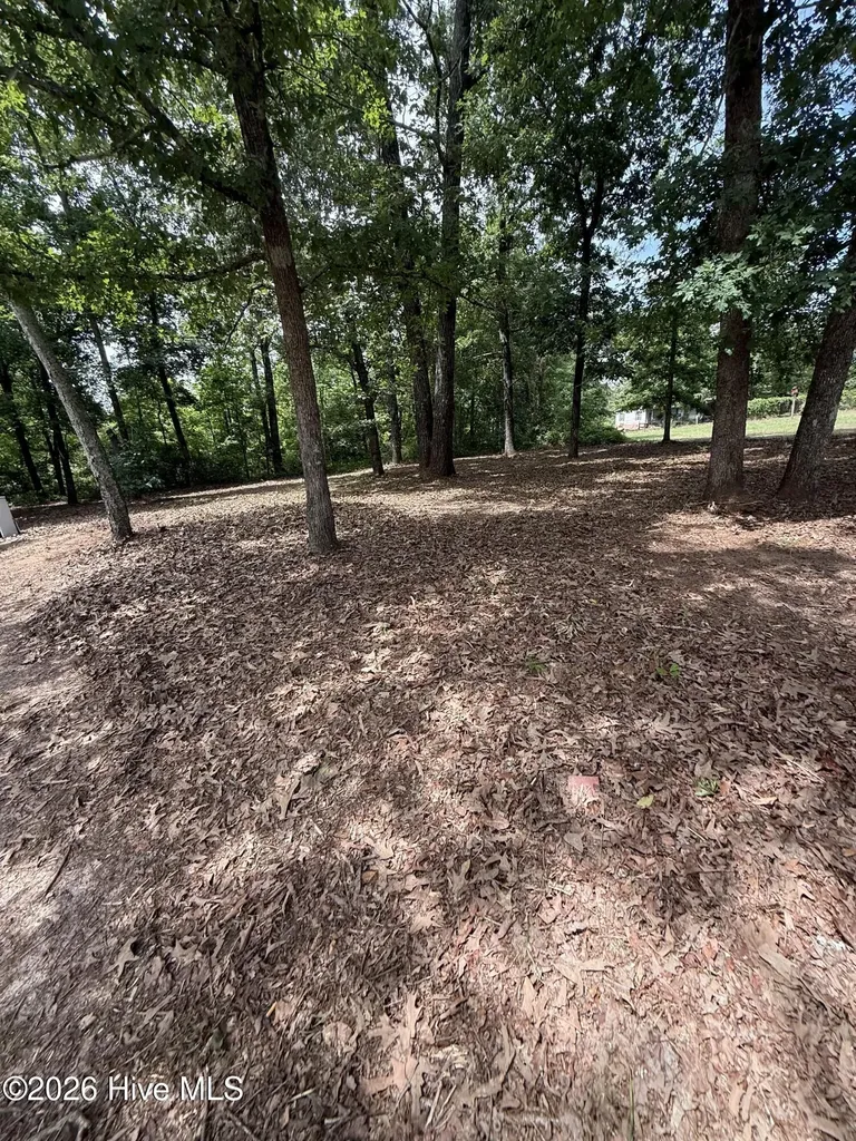 3641 Hillman Gay Road Dearing GA 30808