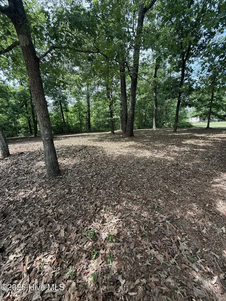 3641 Hillman Gay Road Dearing GA 30808