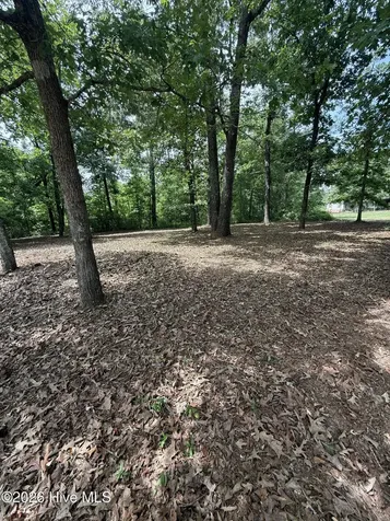 3641 Hillman Gay Road Dearing GA 30808