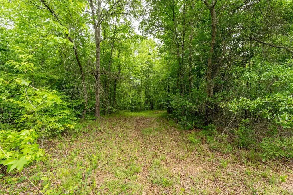 299 SW Hunting Club Road Crawfordville GA 30631
