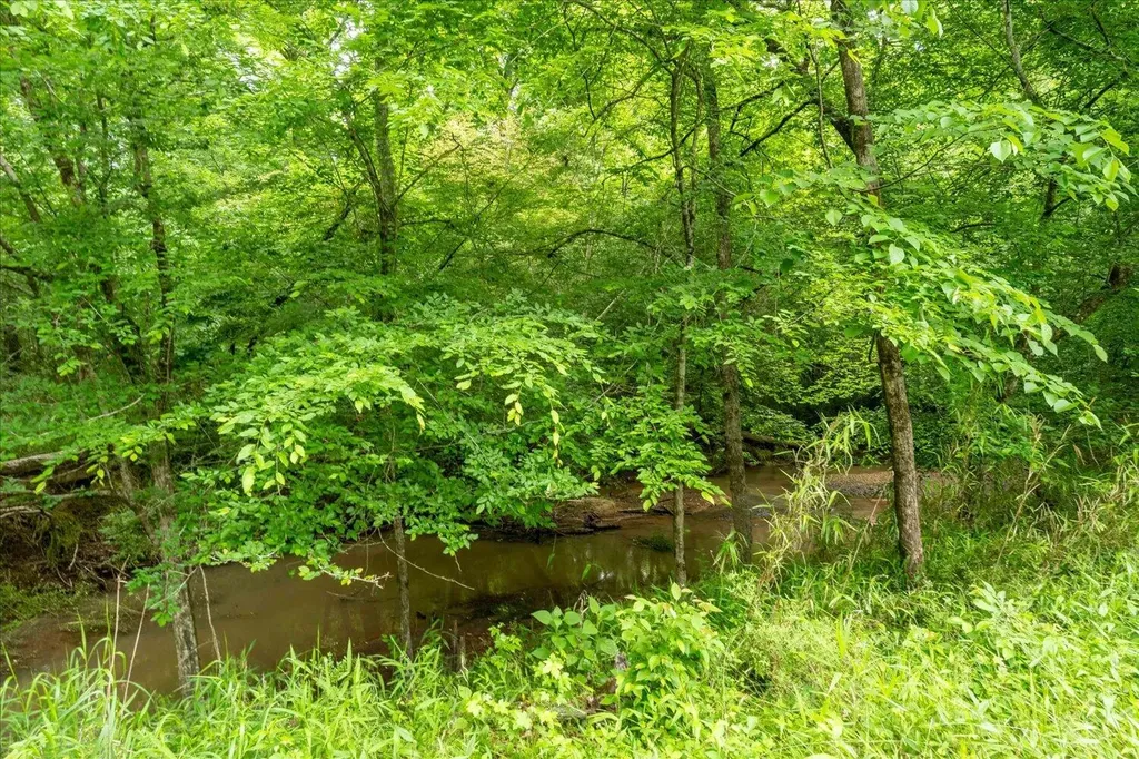 299 SW Hunting Club Road Crawfordville GA 30631