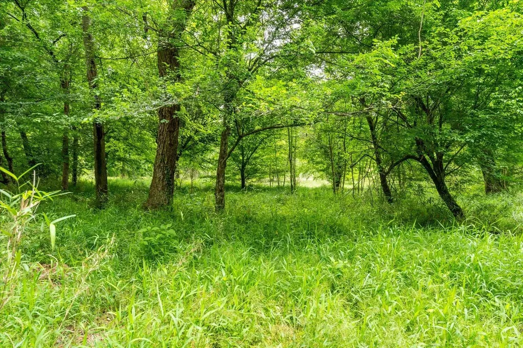 299 SW Hunting Club Road Crawfordville GA 30631
