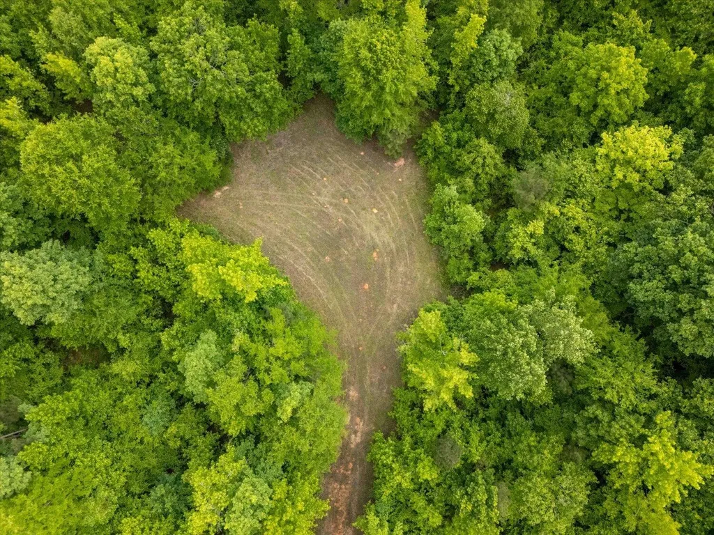 299 SW Hunting Club Road Crawfordville GA 30631