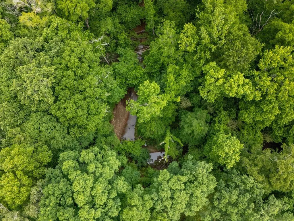 299 SW Hunting Club Road Crawfordville GA 30631