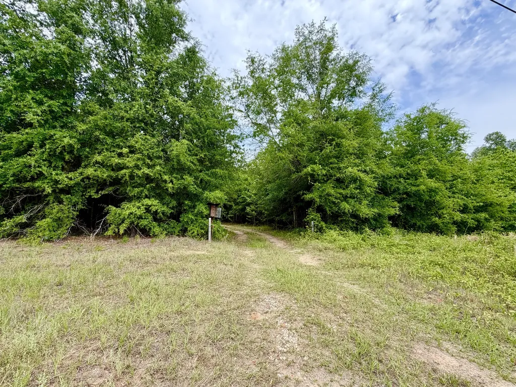 215 Gresham Road Keysville GA 30816