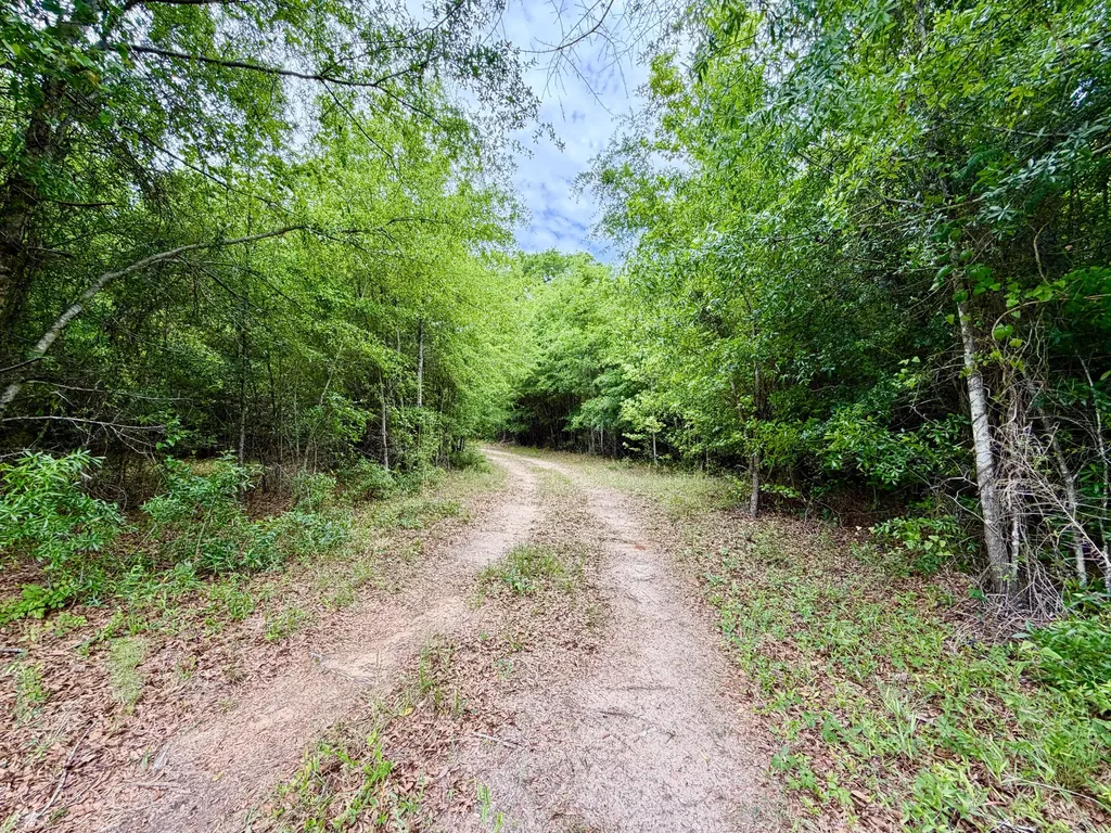 215 Gresham Road Keysville GA 30816