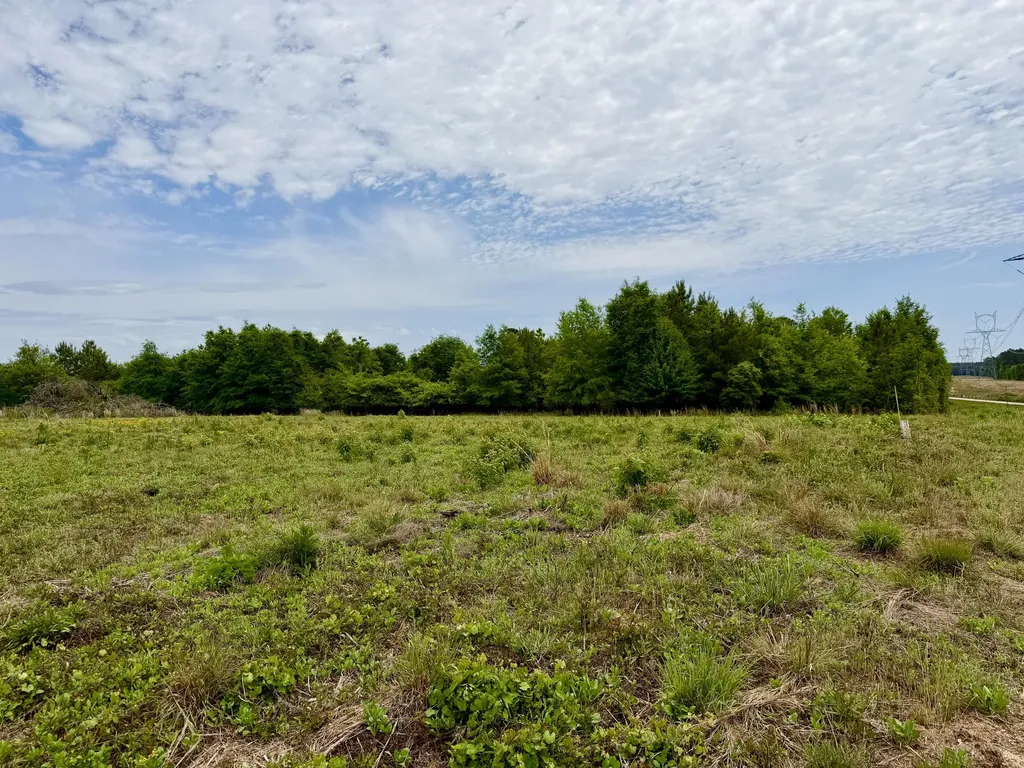 215 Gresham Road Keysville GA 30816
