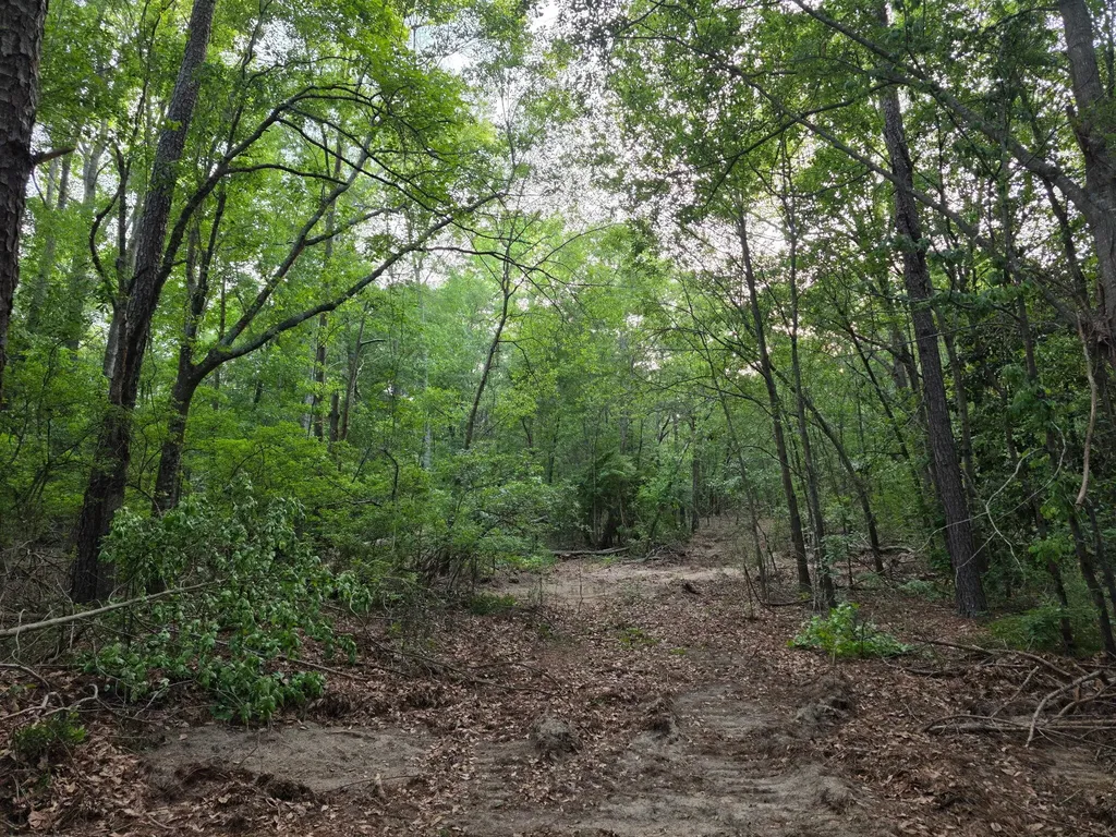 11A Bradleyville Road North Augusta SC 29841