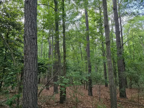 11A Bradleyville Road North Augusta SC 29841