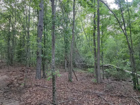 11A Bradleyville Road North Augusta SC 29841