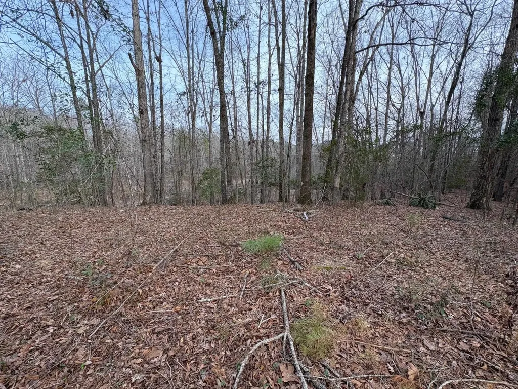 620 Hamilton Road Grovetown GA 30813