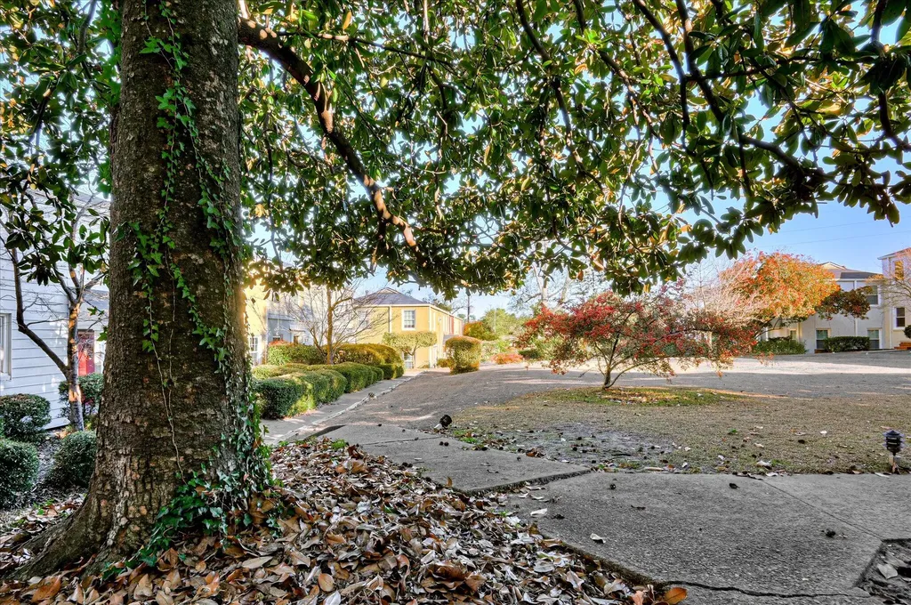 801 Monte Sano Avenue Augusta GA 30904