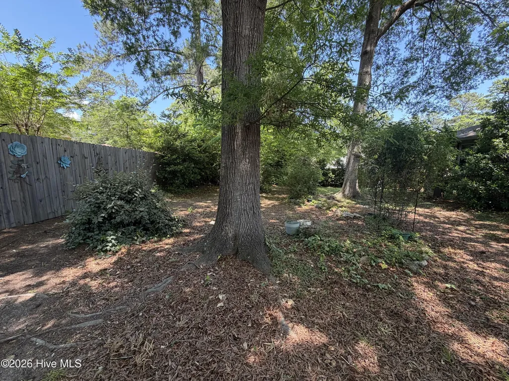 615 Hemlock Drive Thomson GA 30824