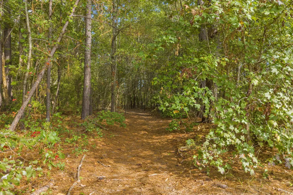 1244 Northview Extension Thomson GA 30824