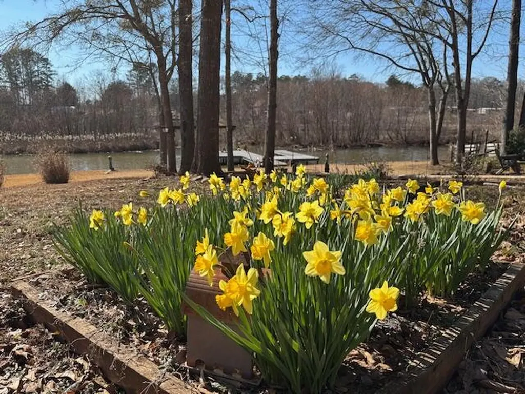 132 Sunset Drive Eatonton GA 31024