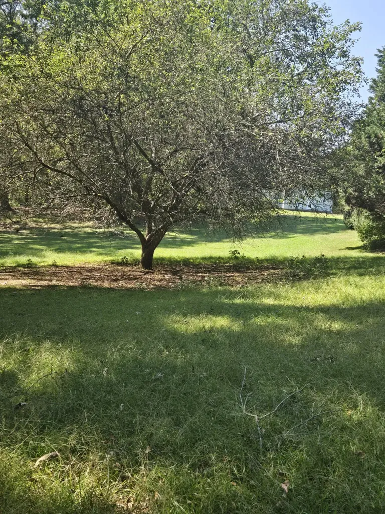 6108 Danburg Road Tignall GA 30668