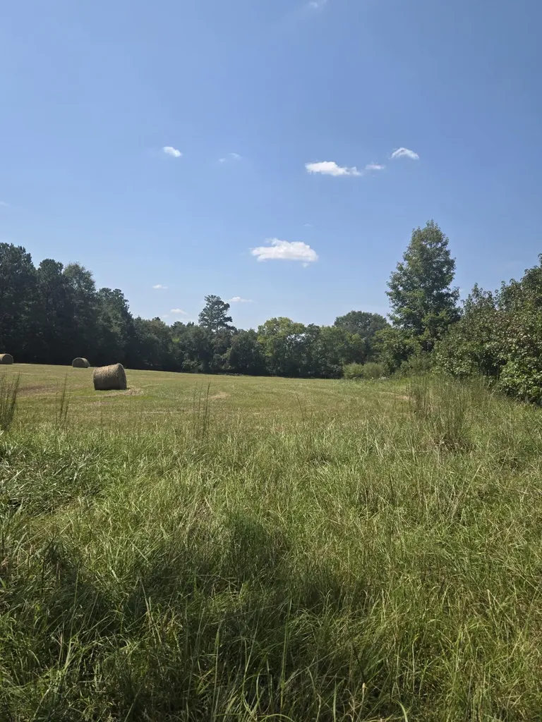 6108 Danburg Road Tignall GA 30668