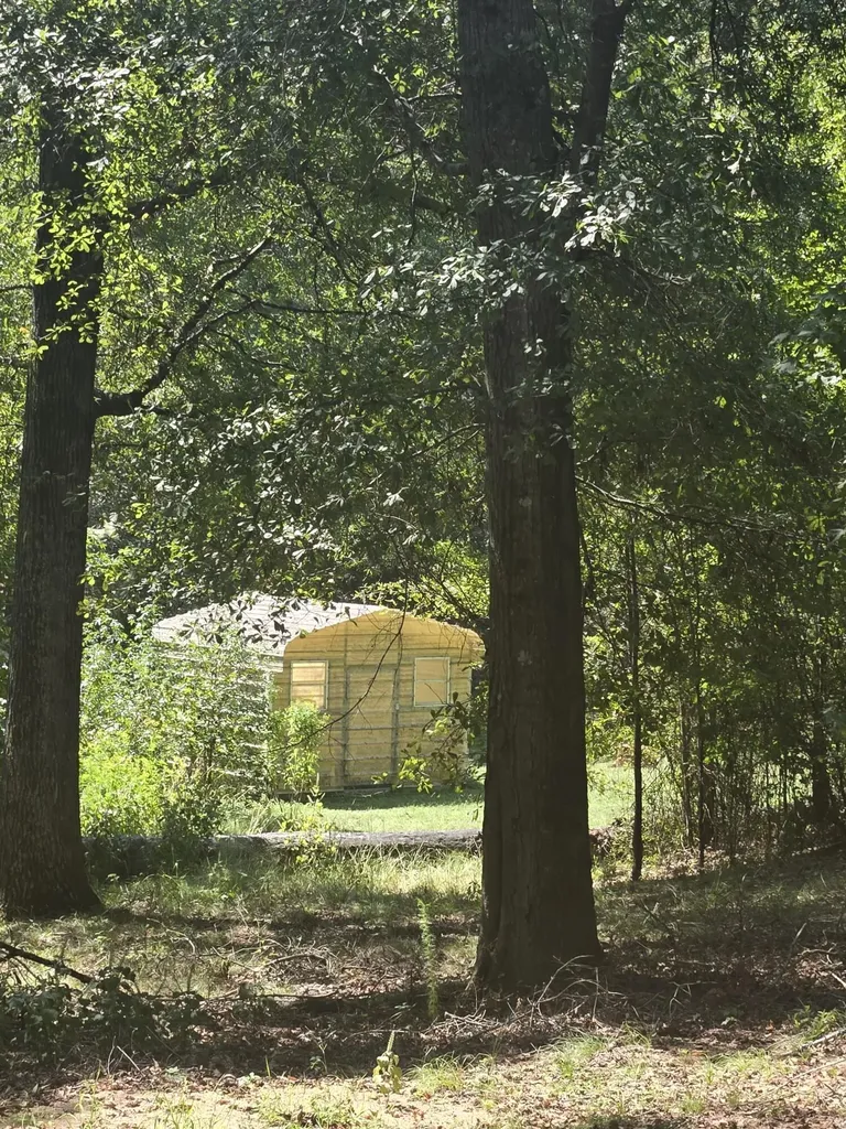 6108 Danburg Road Tignall GA 30668