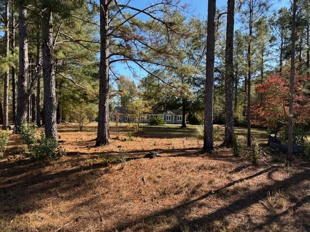 131 Marks Walden Road Blythe GA 30805