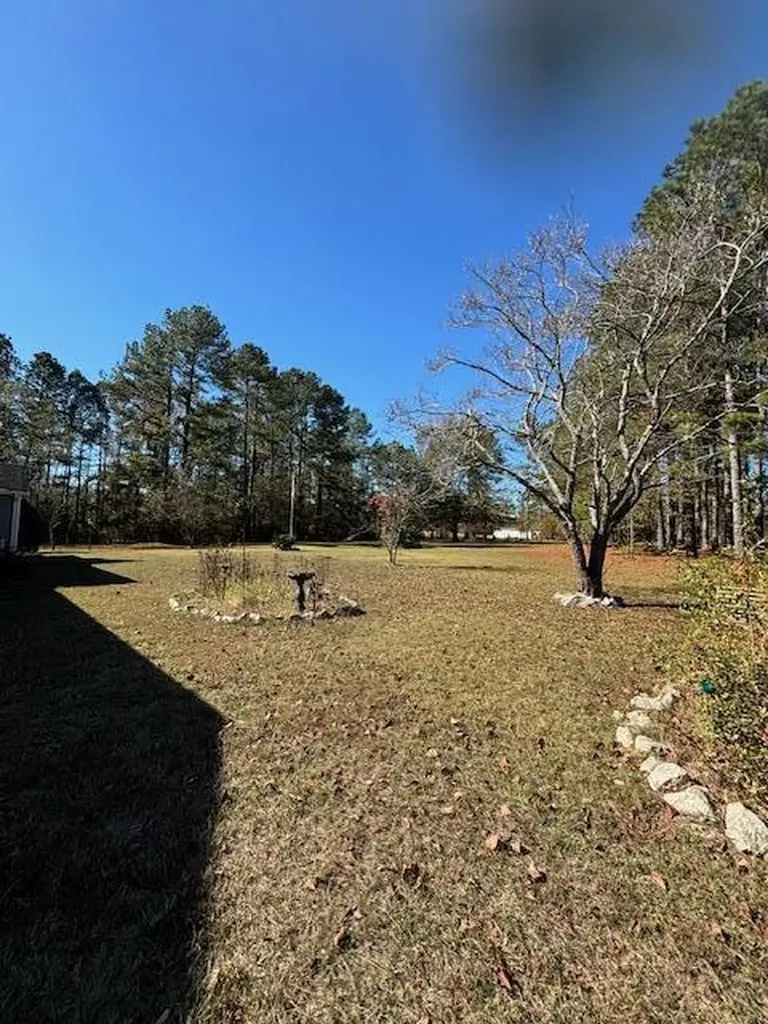 131 Marks Walden Road Blythe GA 30805