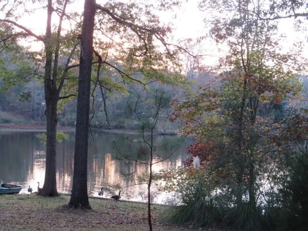 4629 Silver Lake Drive Evans GA 30809