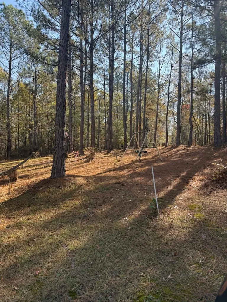 5584 Rosemont Drive Appling GA 30802