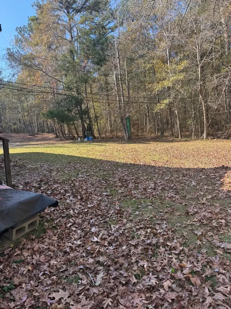 5584 Rosemont Drive Appling GA 30802