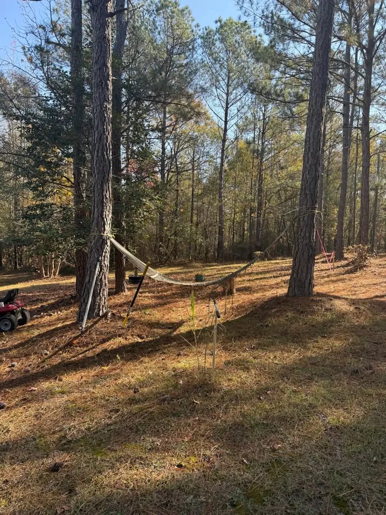 5584 Rosemont Drive Appling GA 30802